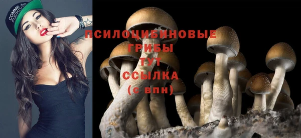 спайс Туринск