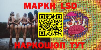 гидропоника Азнакаево