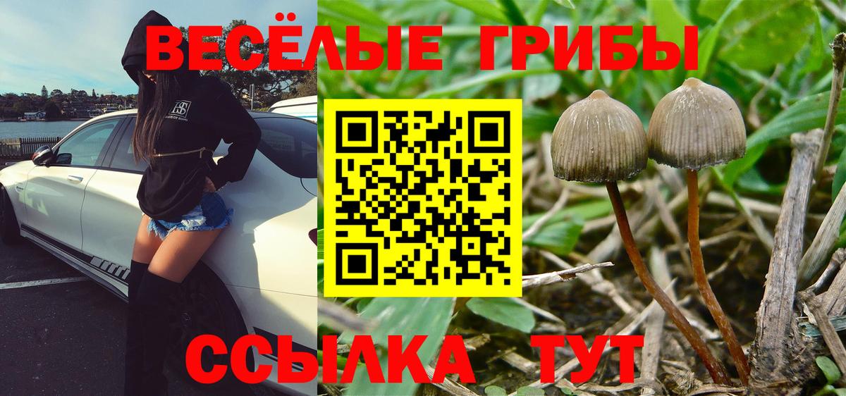 Надым  купить закладку  Псилоцибиновые грибы Psilocybine cubensis  Вход с VPN  Галлюциногенные грибы мухоморы 