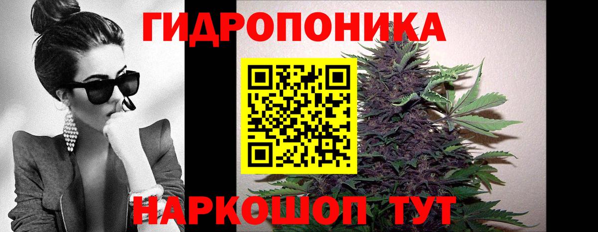 Надым  Каннабис план  Бошки марихуана MAZAR  Вход с VPN  Бошки марихуана ГИДРОПОН 